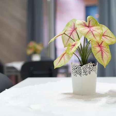 La Casa Della Nonna - Quartierispagnoli 게스트하우스 4*